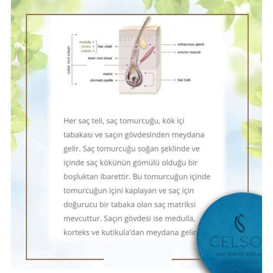 Celson Saç Bakım Sabunu